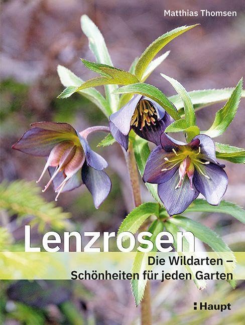 Lenzrosen: Die Wildarten - Schönheiten für jeden Garten Garden & Plants