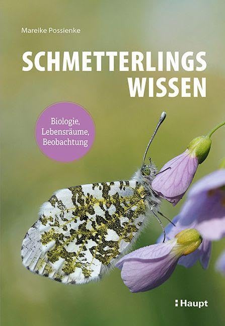 Schmetterlingswissen Leisure, Home & Garden