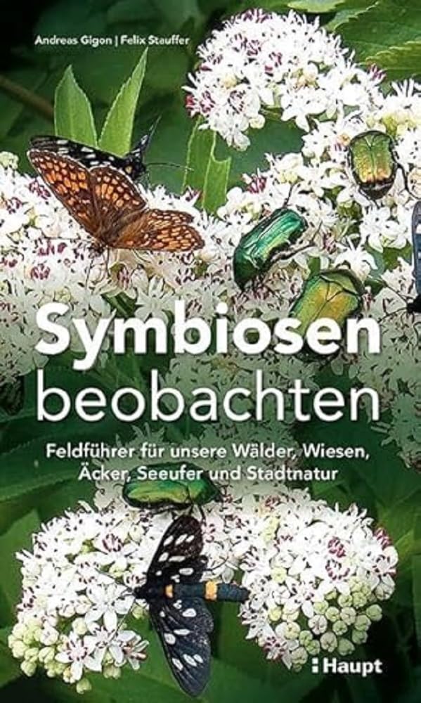 Symbiosen beobachten Leisure, Home & Garden