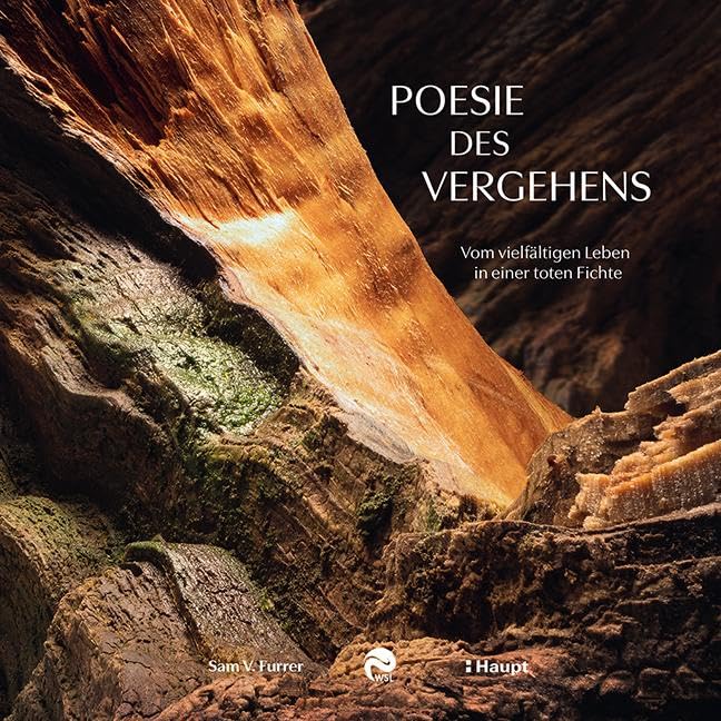 Poesie des Vergehens: Vom vielfältigen Leben in einer toten Fichte Business, Finance & Career