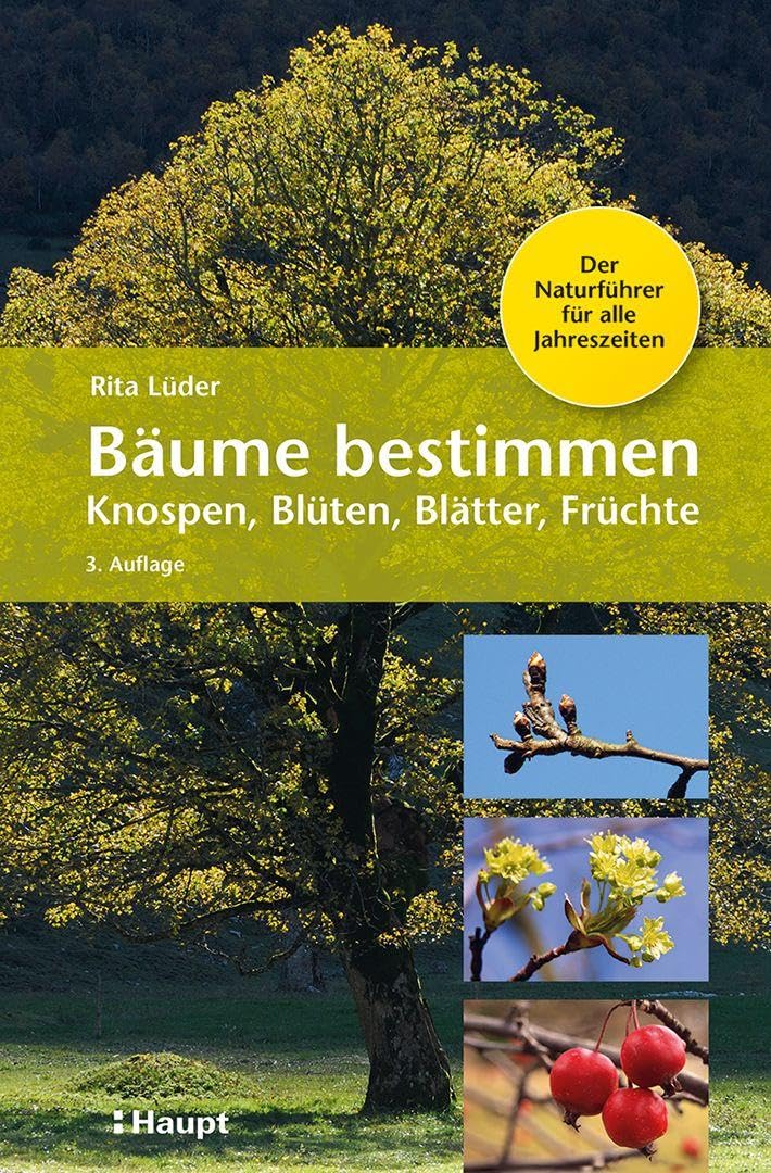 Bäume bestimmen - Knospen, Blüten, Blätter, Früchte Books
