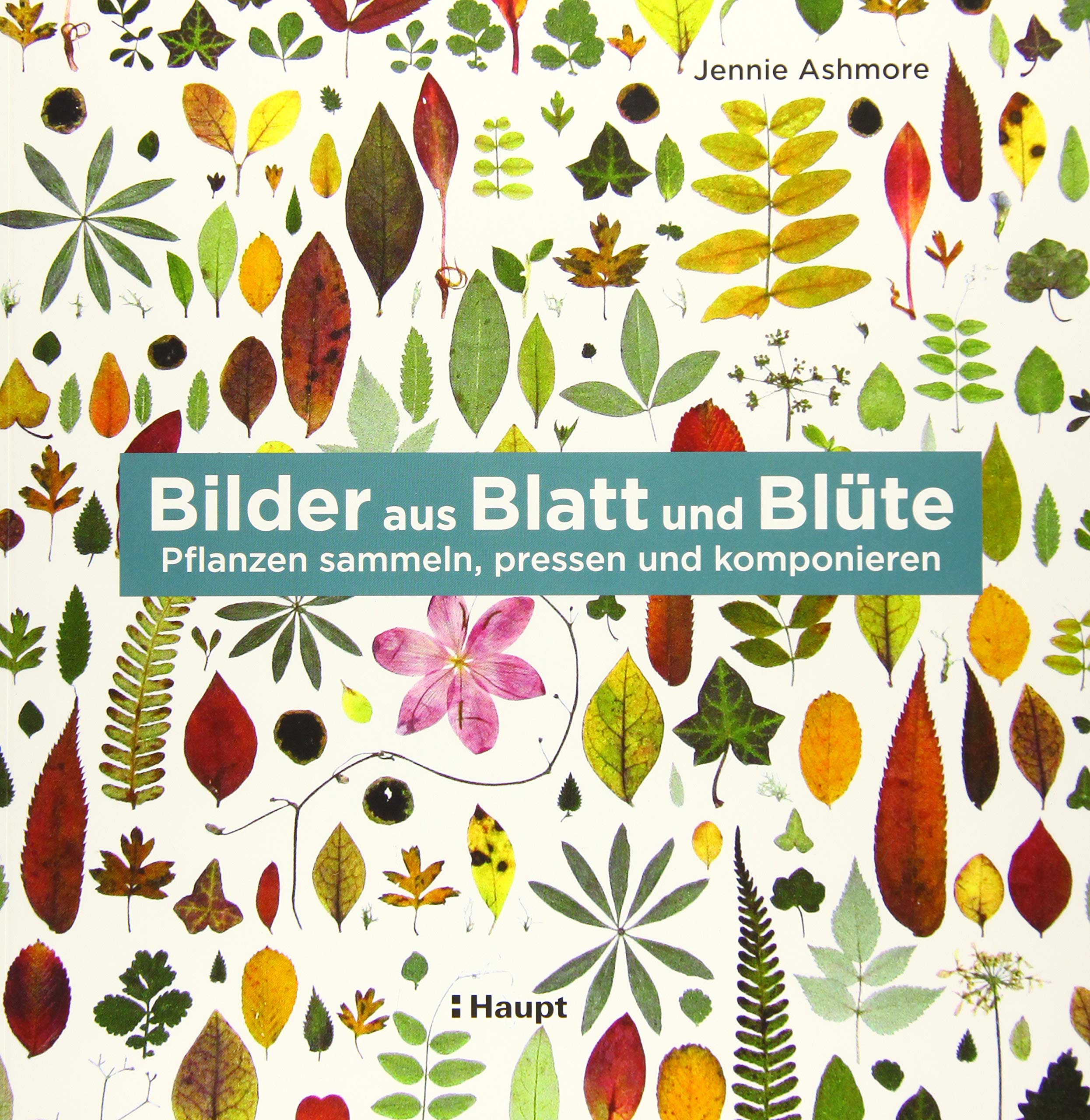 Bilder aus Blatt und Blüte Film, Art & Culture