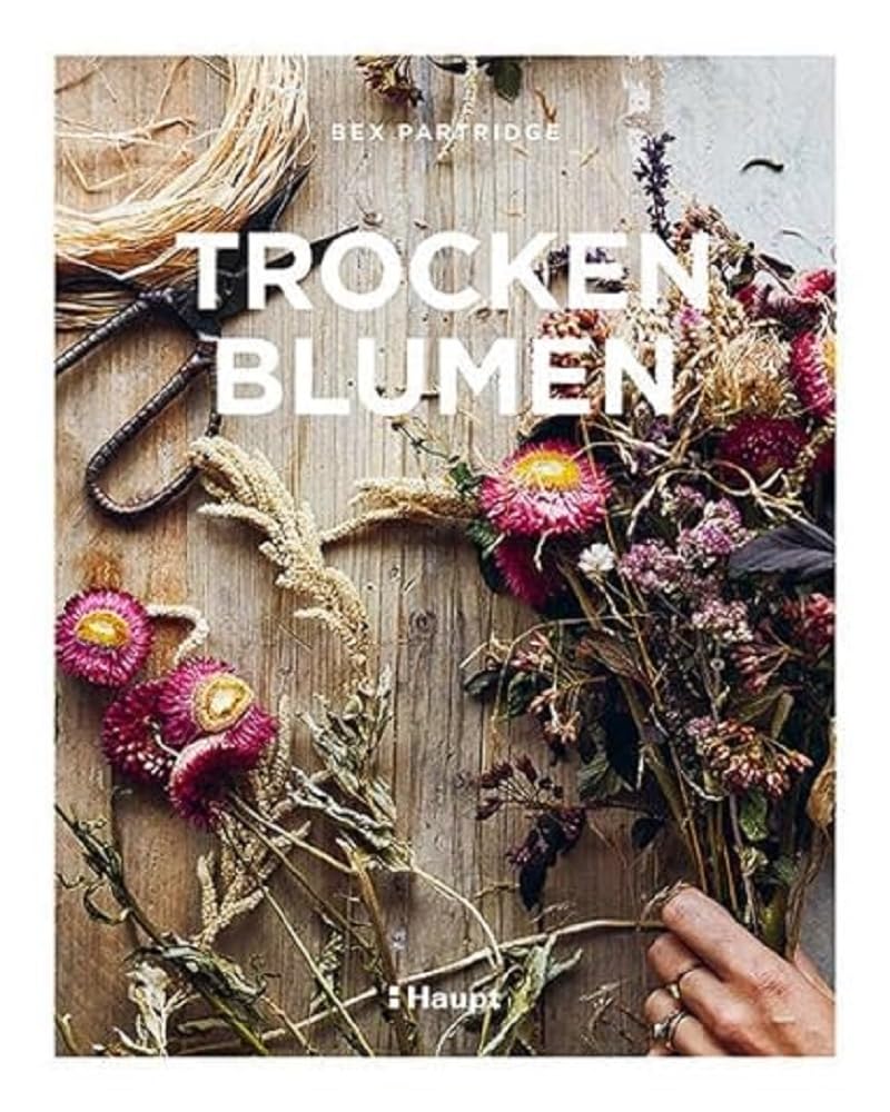 Trockenblumen Film, Art & Culture