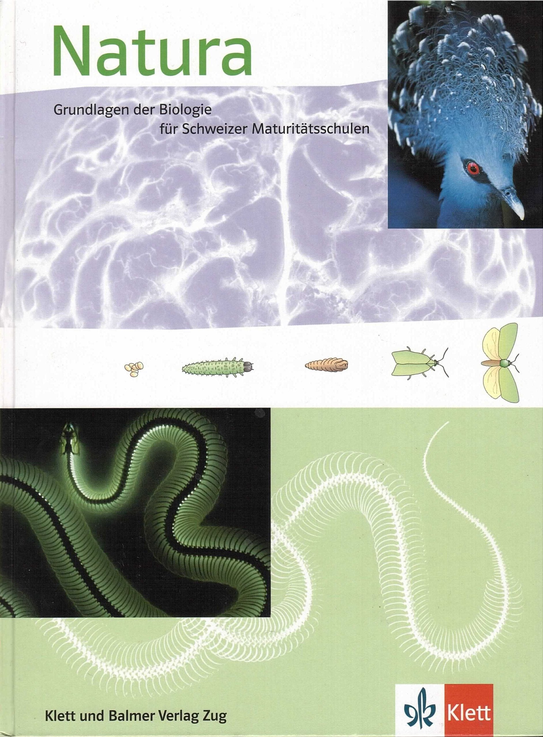 Natura - Ausgabe Schweiz: Grundlagen der Biologie für Schweizer Maturitätsschulen Study Guides