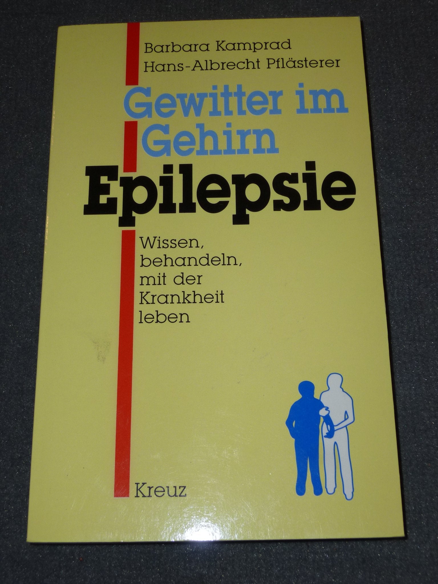 Product Image: Gewitter im Gehirn, Epilepsie