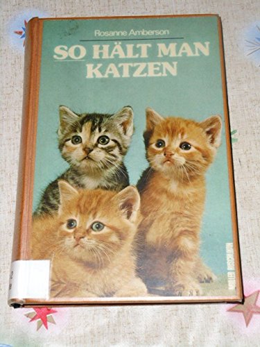 So hält man Katzen Pets