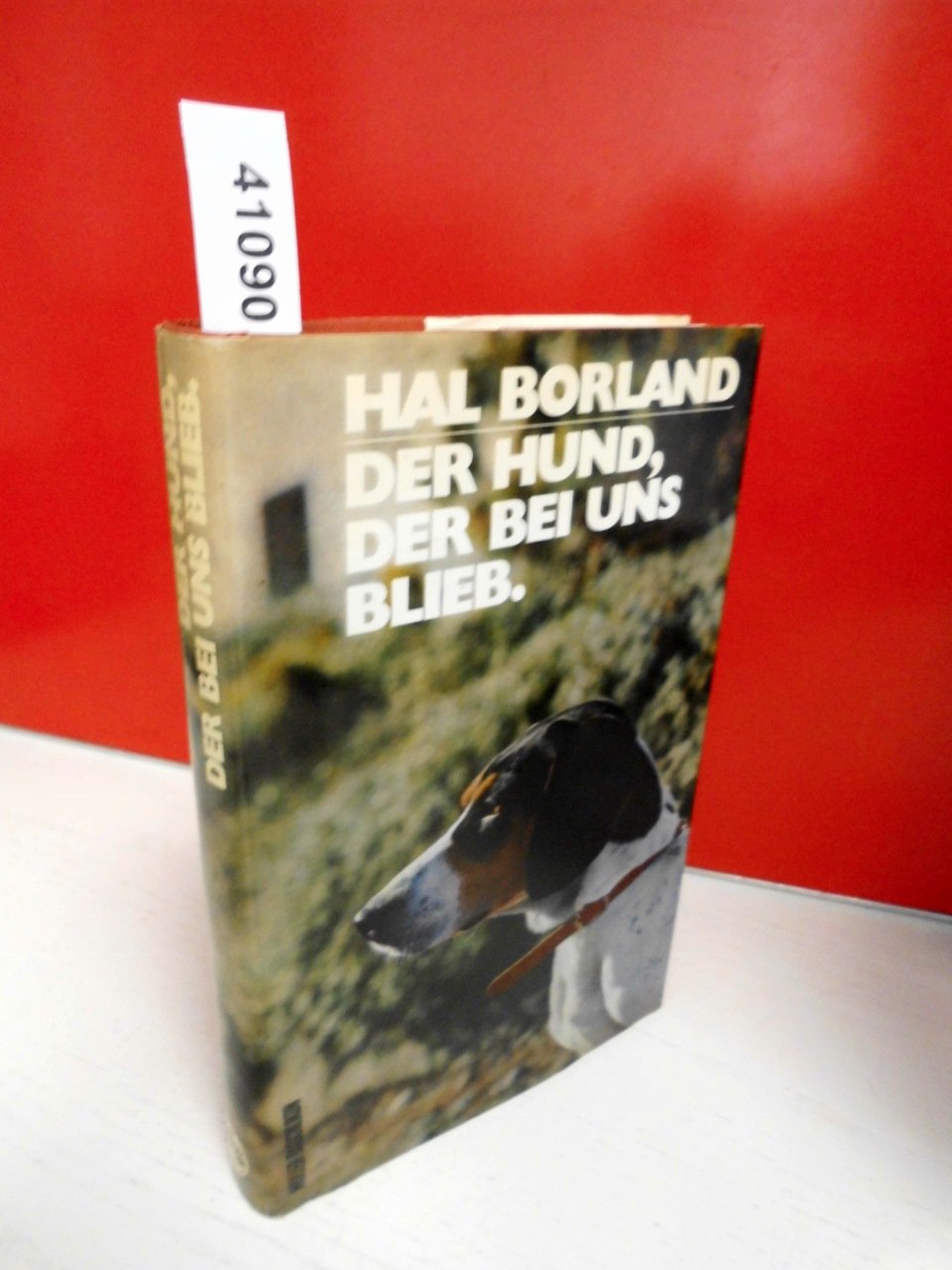 Der Hund, der bei uns blieb Books