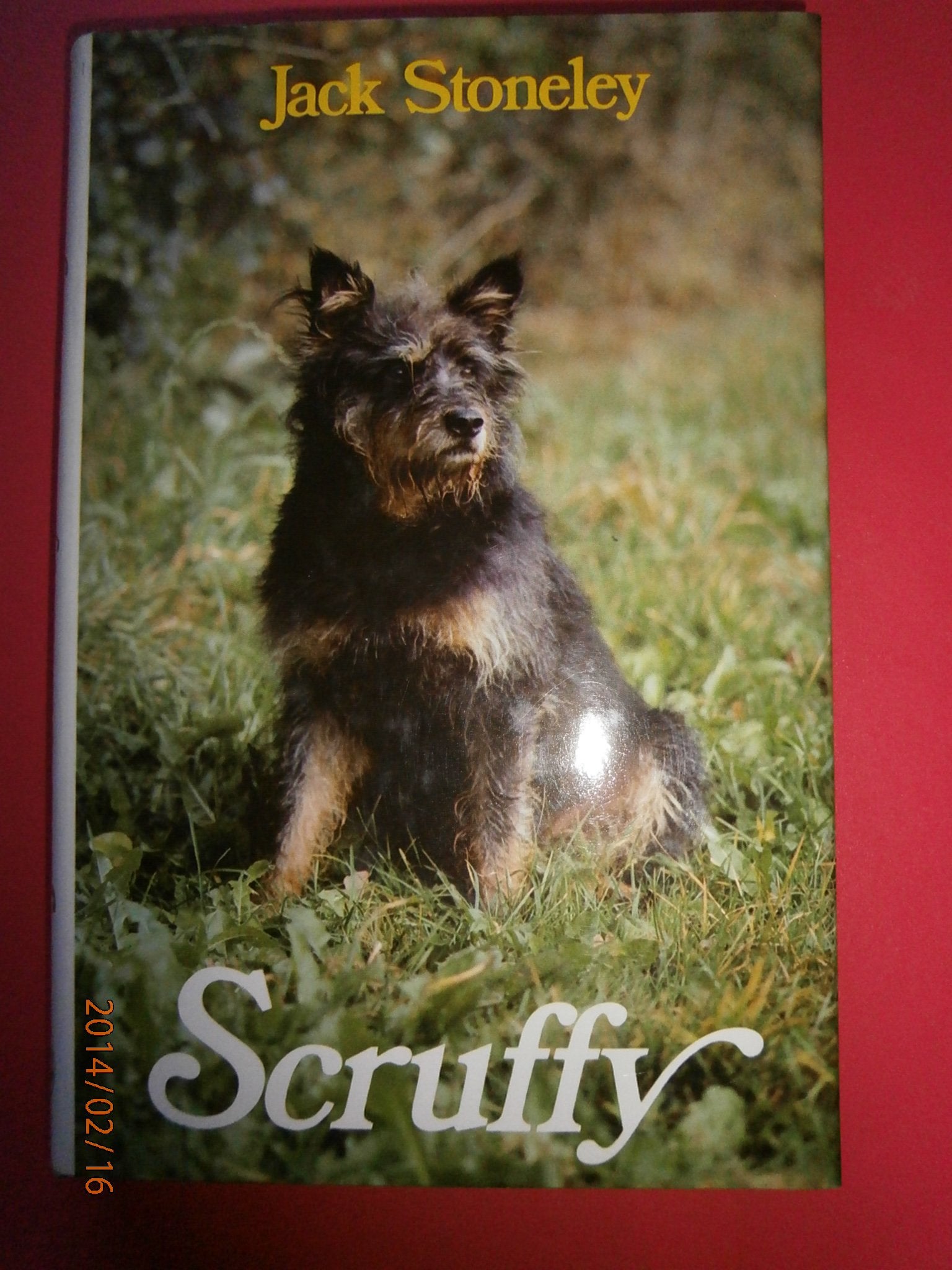 Scruffy. Der Hund, der in die Zeitung kam Books