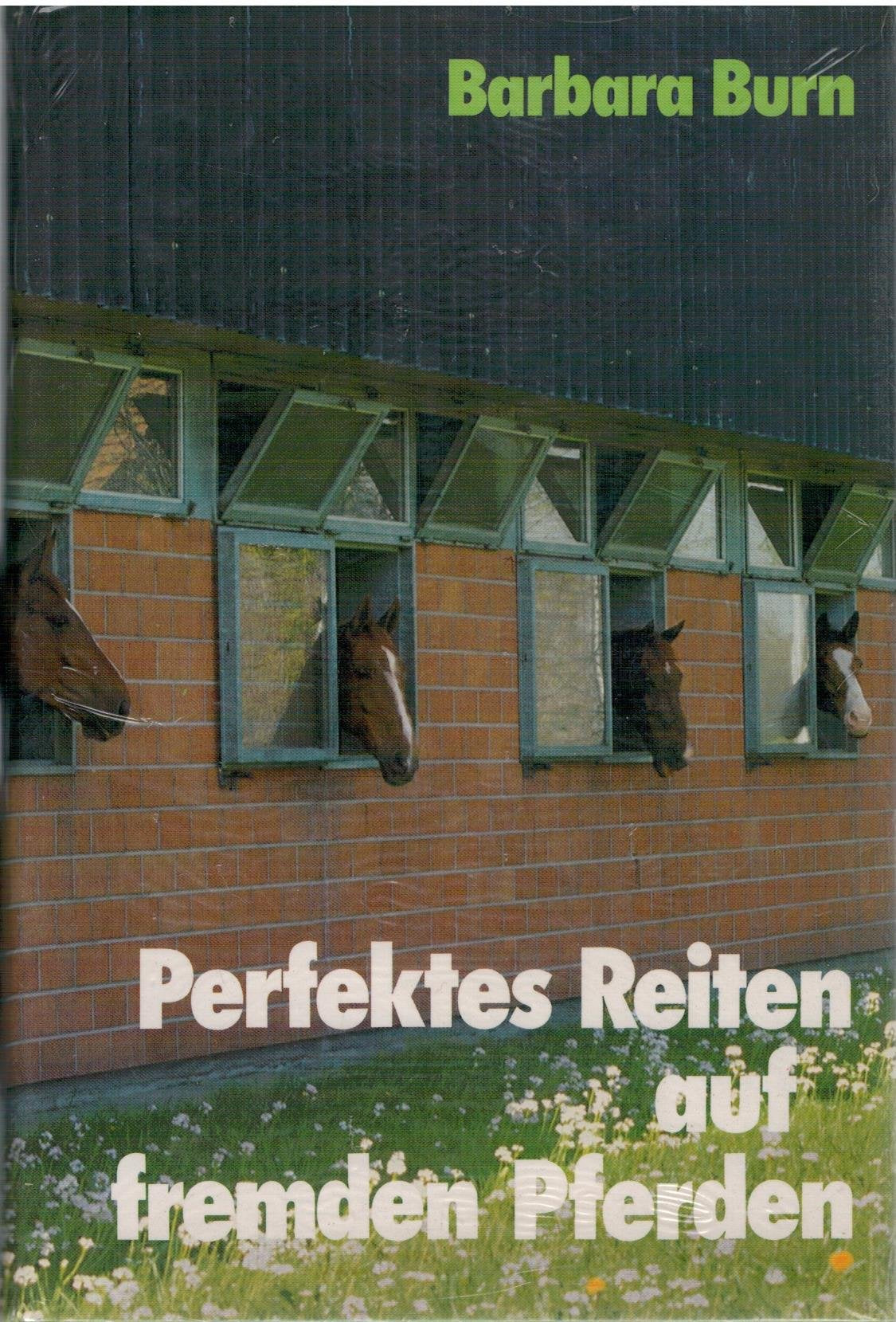 Perfektes Reiten auf fremden Pferden Pets