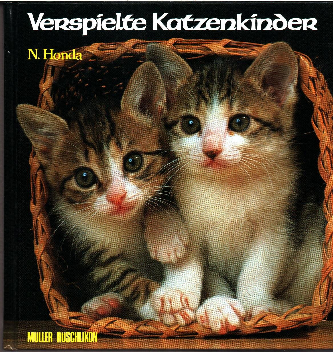 Verspielte Katzenkinder Books