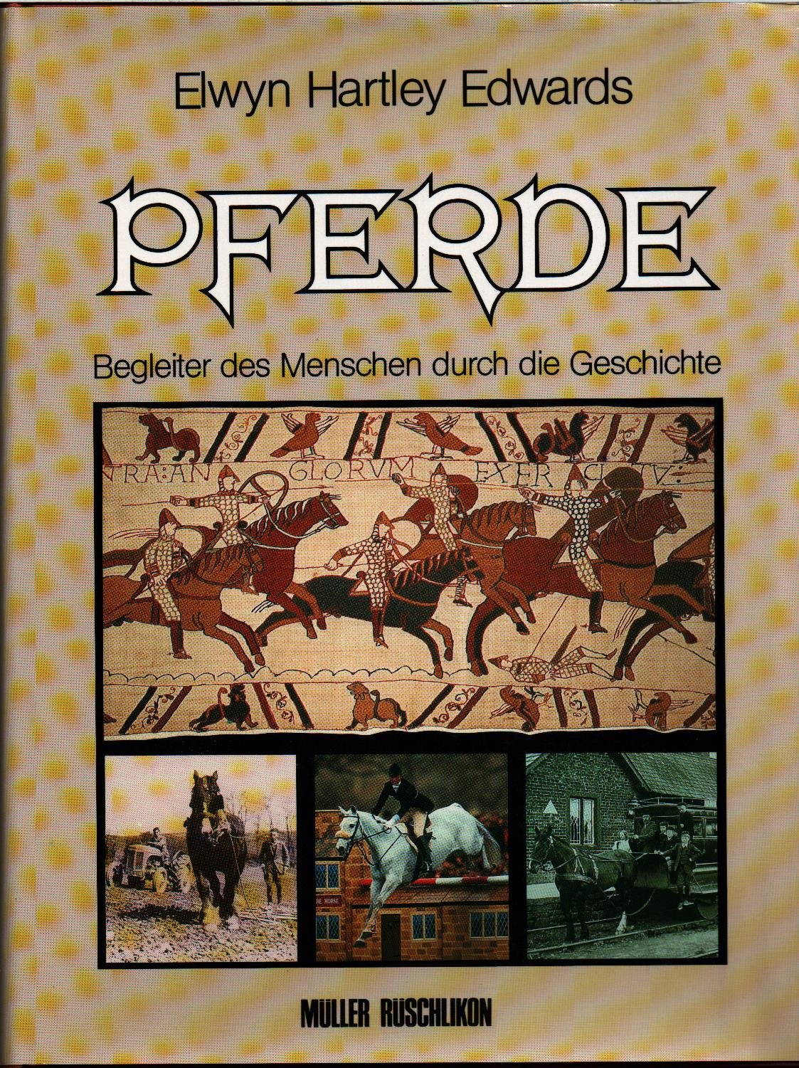 Pferde. Begleiter des Menschen durch die Geschichte Pets