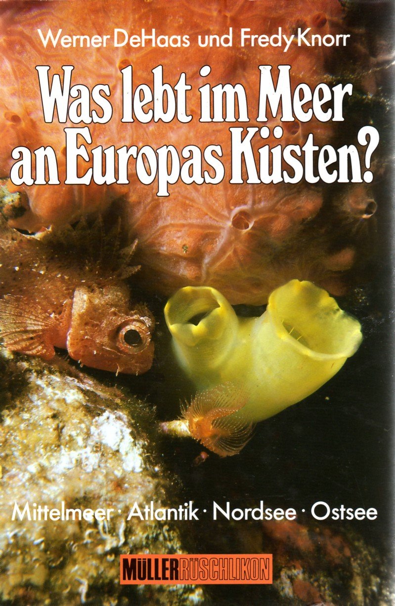 Was lebt im Meer an Europas Küsten? Mittelmeer, Atlantik, Nordsee, Ostsee Natural Sciences