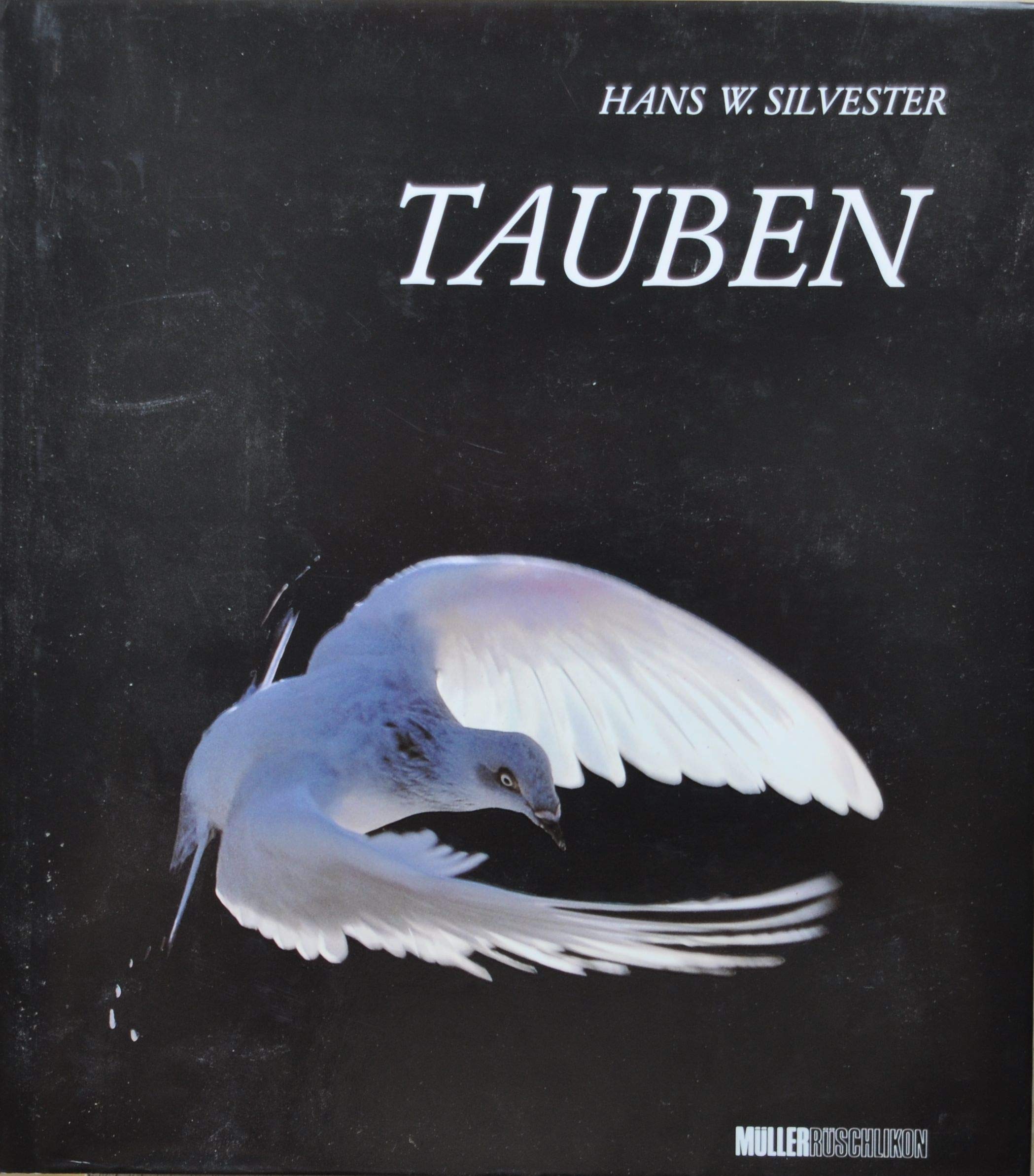 Product Image: Tauben