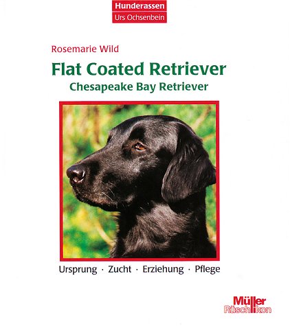Flat Coated Retriever, Chesapeake Bay Retriever Natural Sciences
