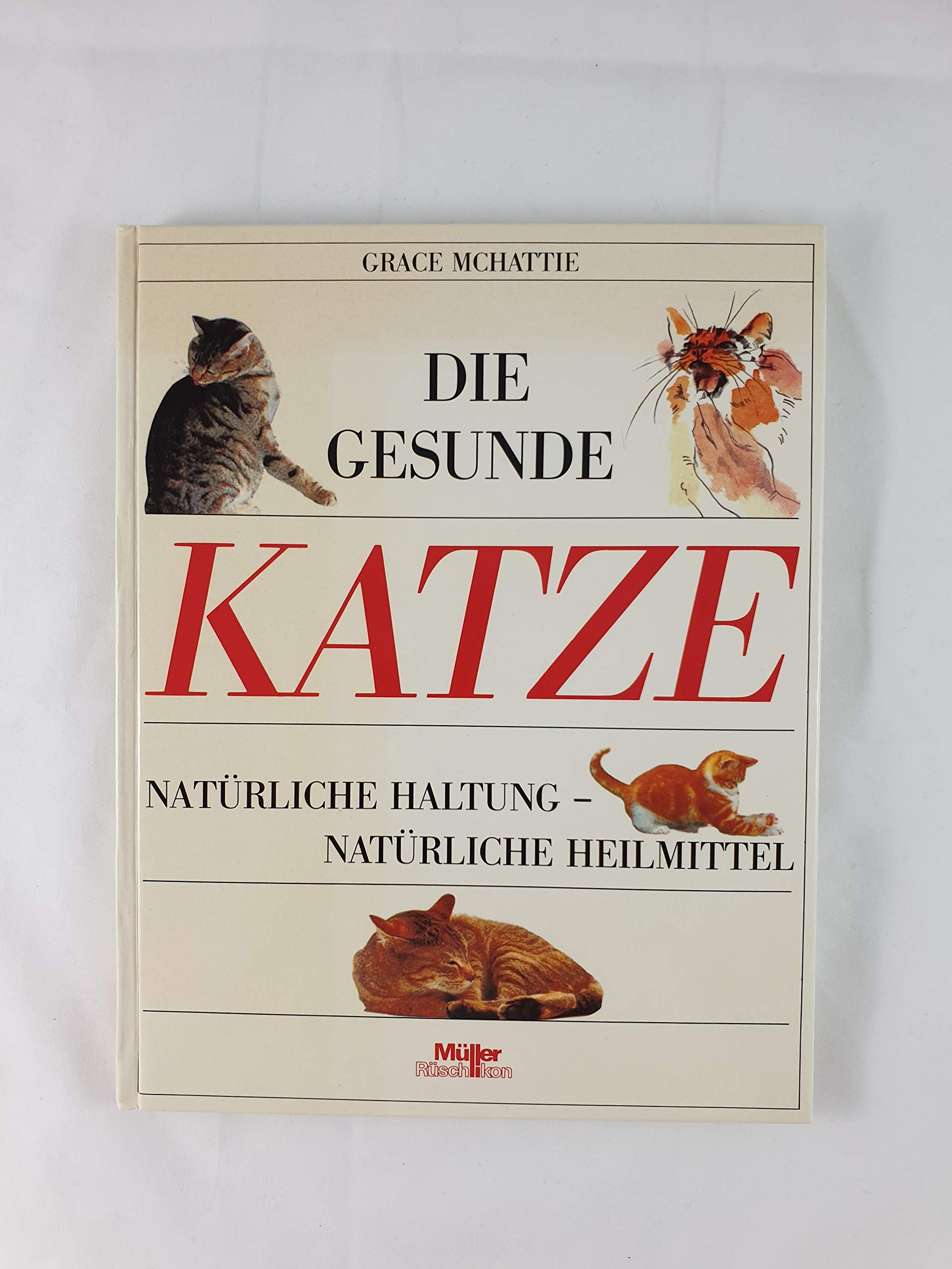 Die gesunde Katze Pets