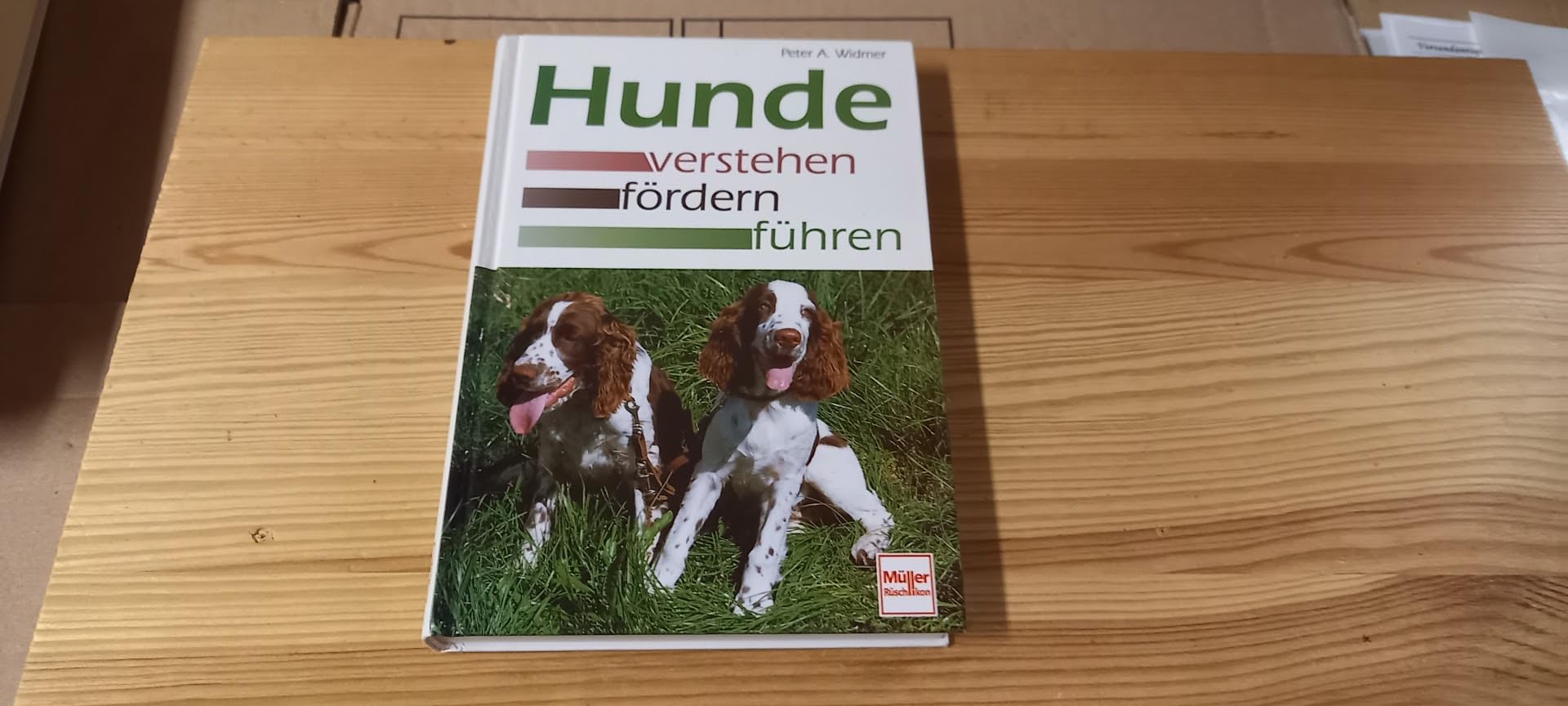 Hunde verstehen, fördern, führen Pets
