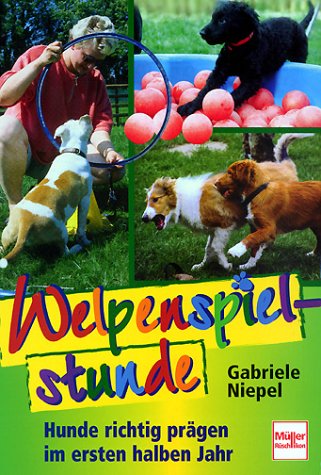 Welpenspielstunde: Hunde richtig prägen im ersten halben Jahr Pets