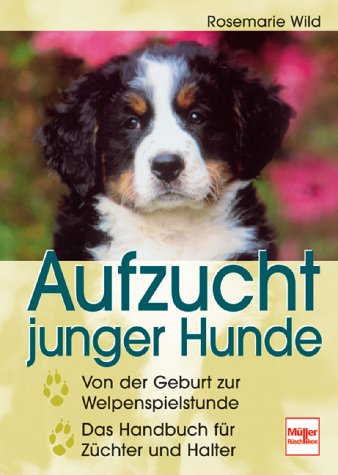 Aufzucht junger Hunde: Von der Geburt bis zur Welpenspielstunde Pets