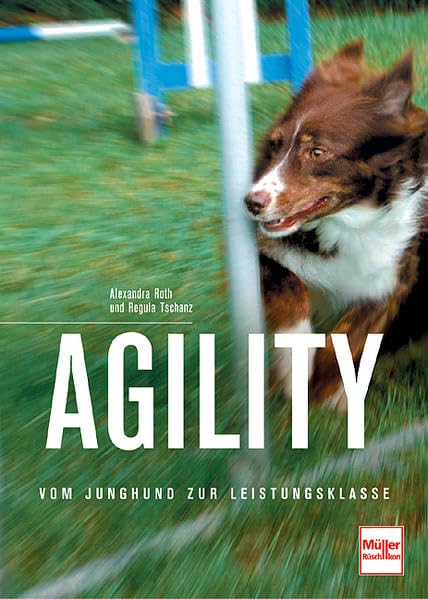Agility: Vom Junghund zur Leistungsklasse Pets