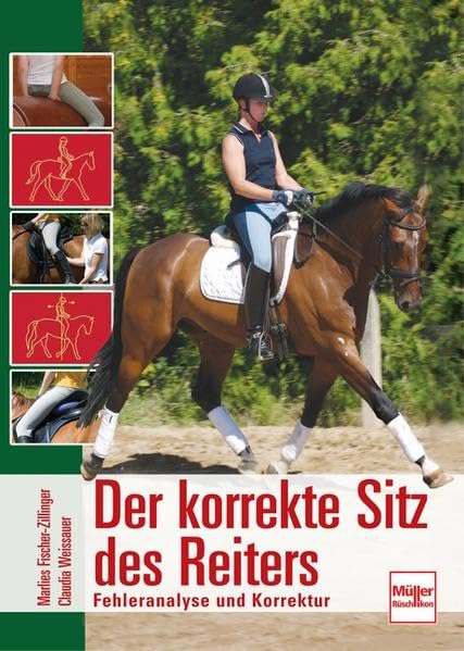 Der korrekte Sitz des Reiters: Fehleranalyse und Korrektur Pets