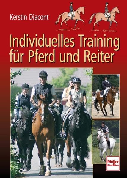 Individuelles Training für Pferd und Reiter Pets