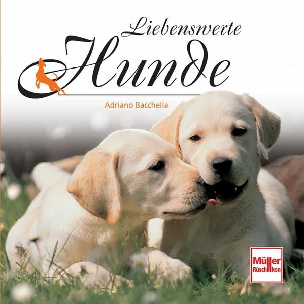 Liebenswerte Hunde Pets