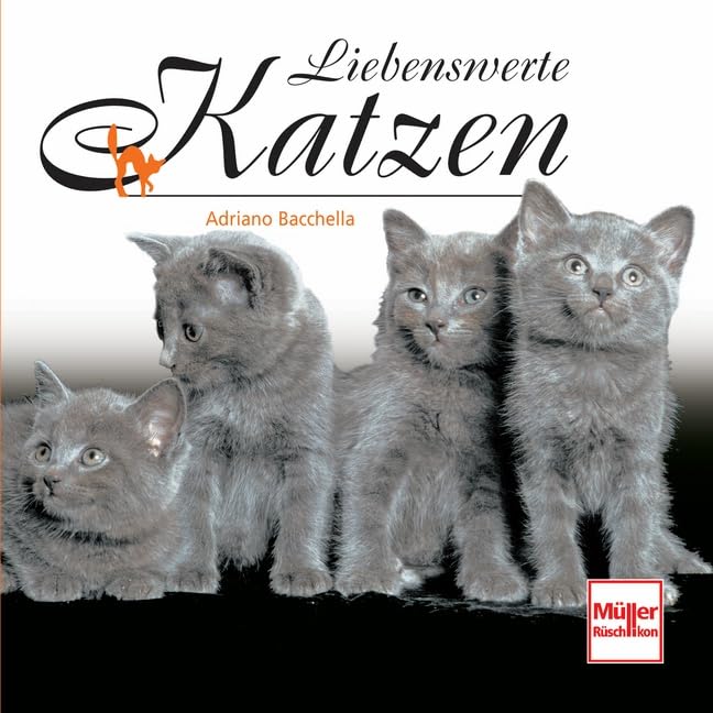 Liebenswerte Katzen Pets