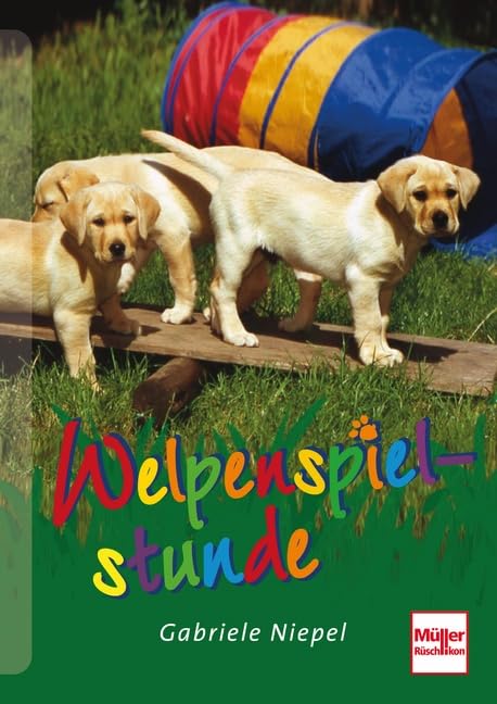Welpenspielstunde Pets