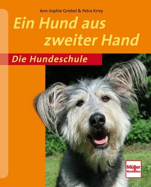 Ein Hund aus zweiter Hand Pets