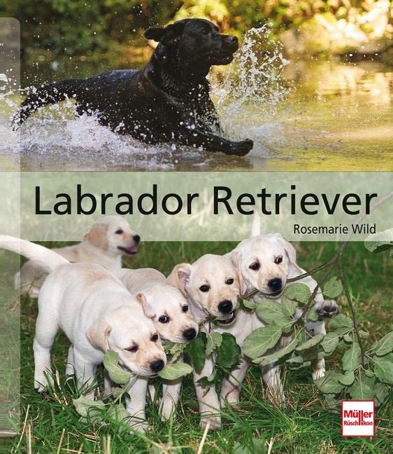 Labrador Retriever Books about Pets