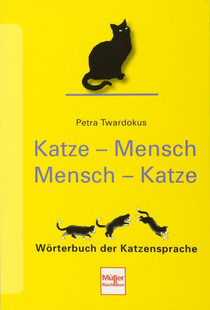 Katze - Mensch Mensch - Katze Pets