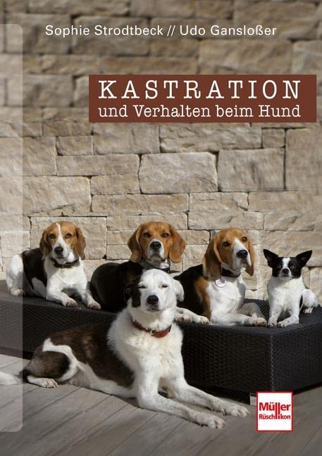 Kastration und Verhalten beim Hund - Eine Entscheidungshilfe Pets