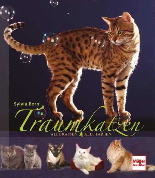 Traumkatzen Books about Pets