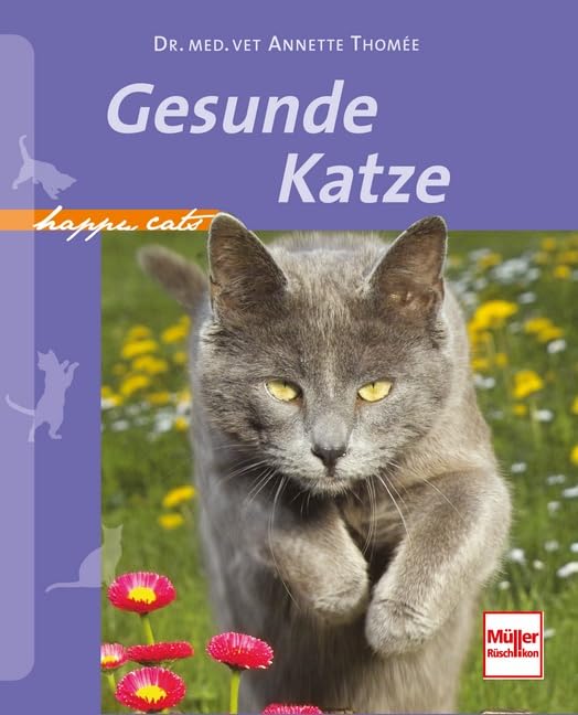 Happy Cats: Gesunde Katze Pets