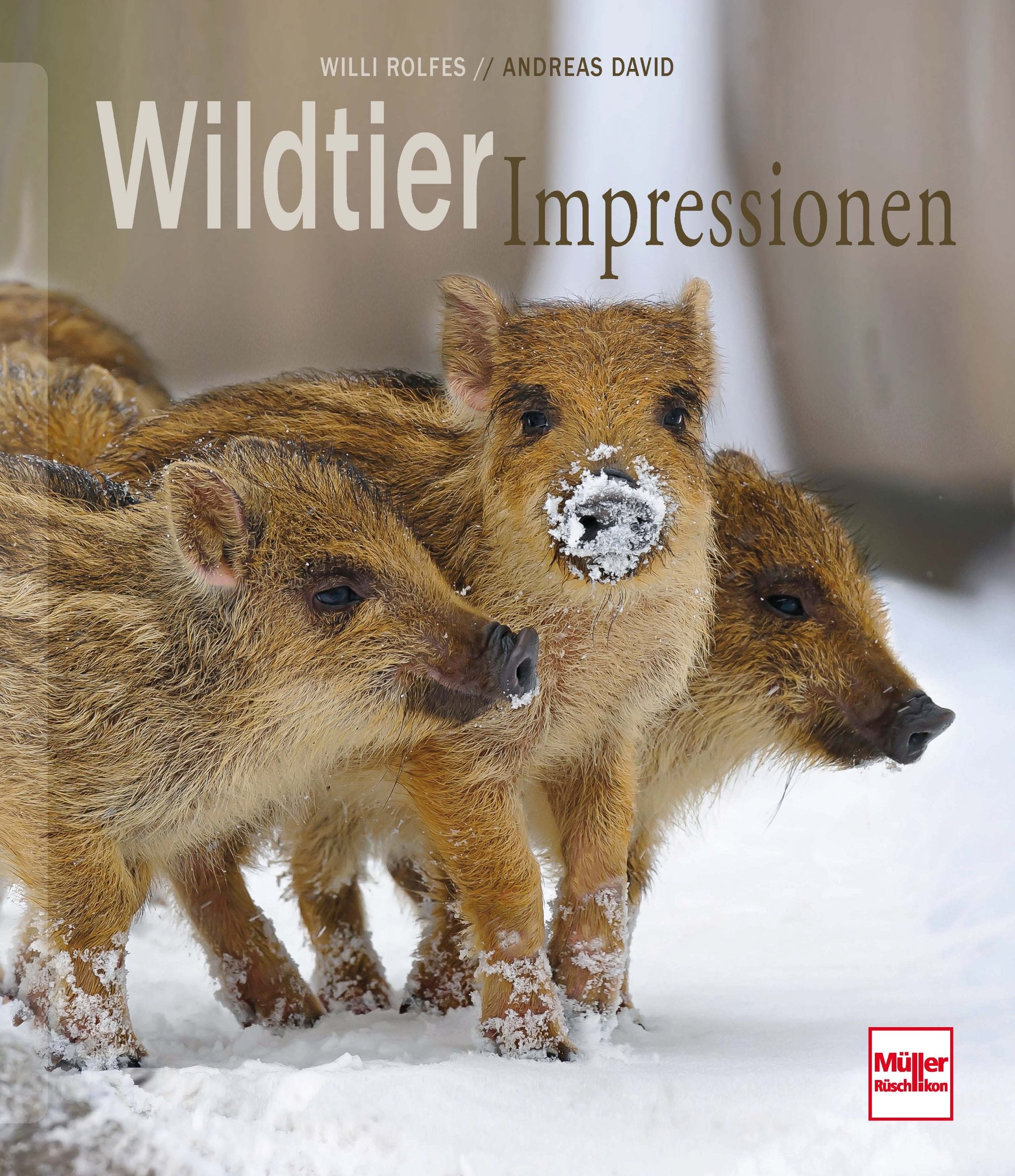 Wildtierimpressionen Leisure & Fun
