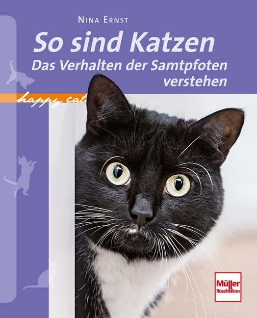 So sind Katzen Pets