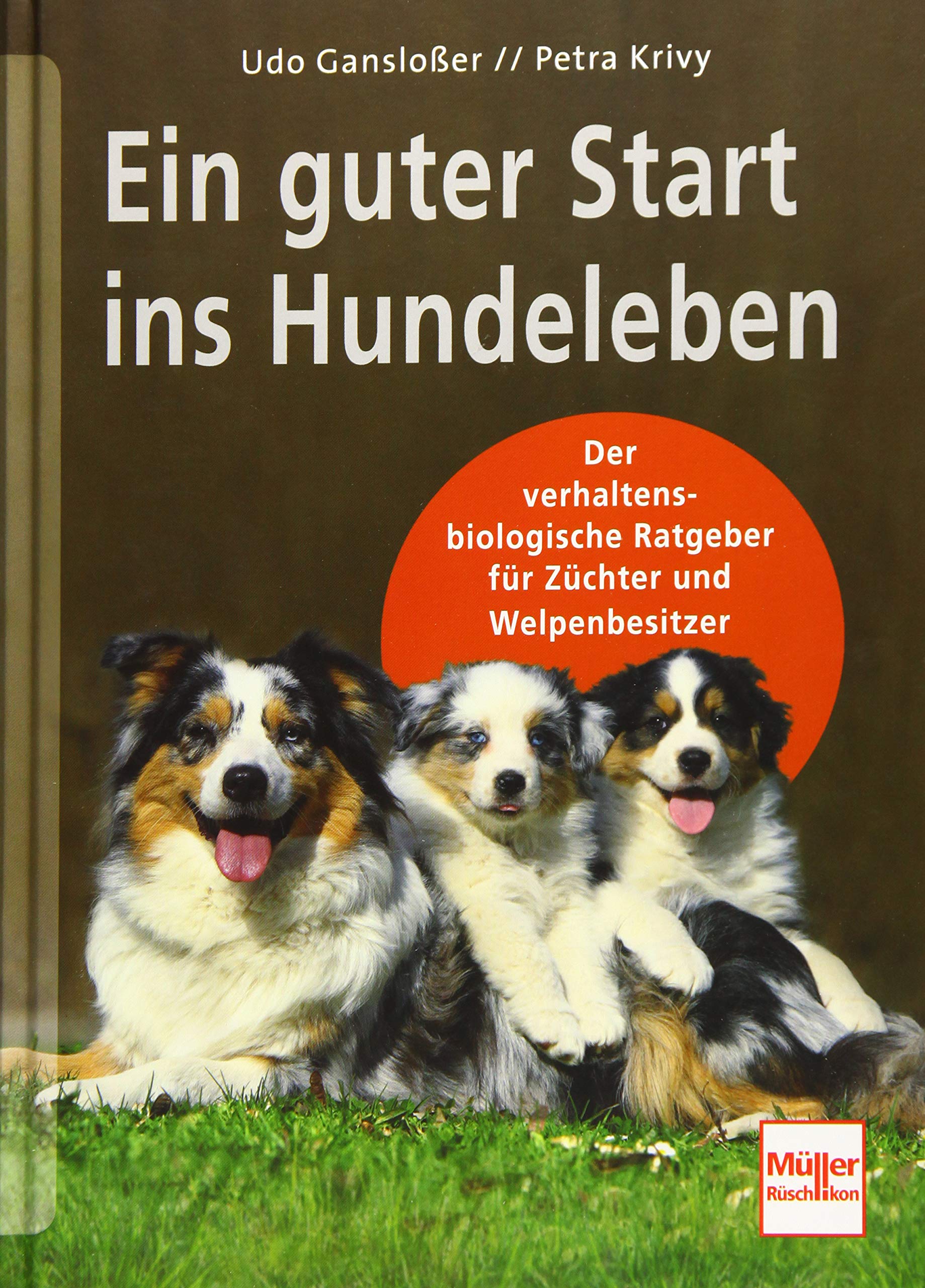 Ein guter Start ins Hundeleben Pets