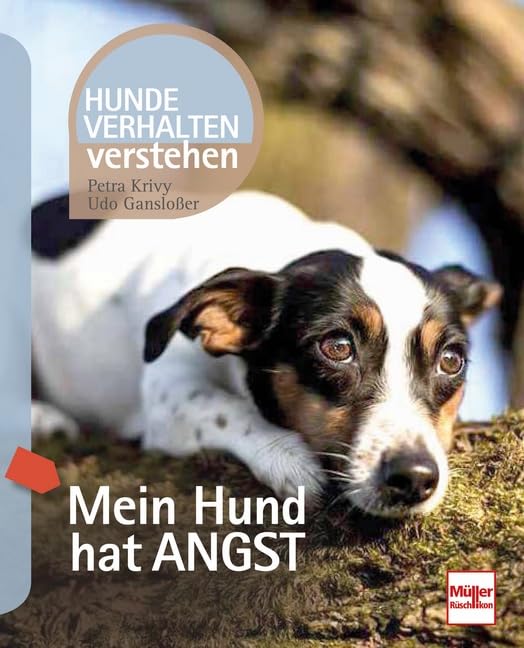 Mein Hund hat Angst: Hundeverhalten verstehen Pets