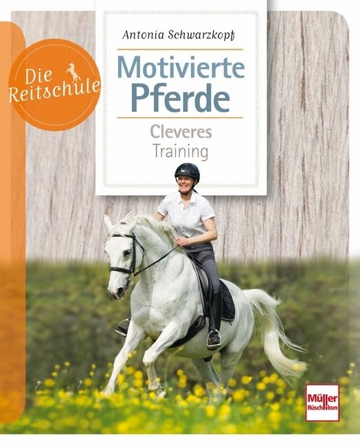 Motivierte Pferde Business, Finance & Career