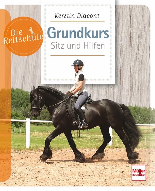 Grundkurs Sitz und Hilfen Pets