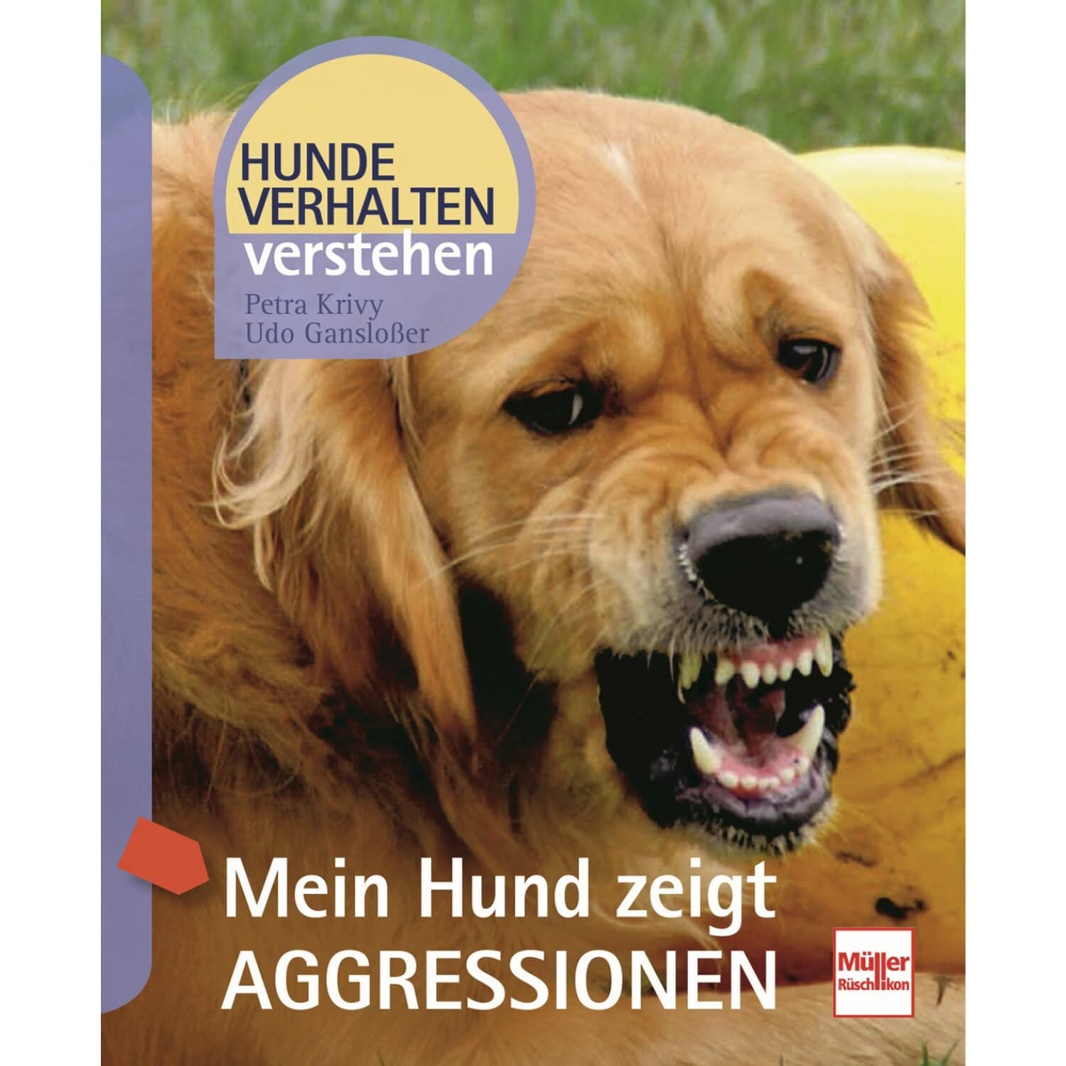 Mein Hund zeigt Aggressionen Business, Finance & Career