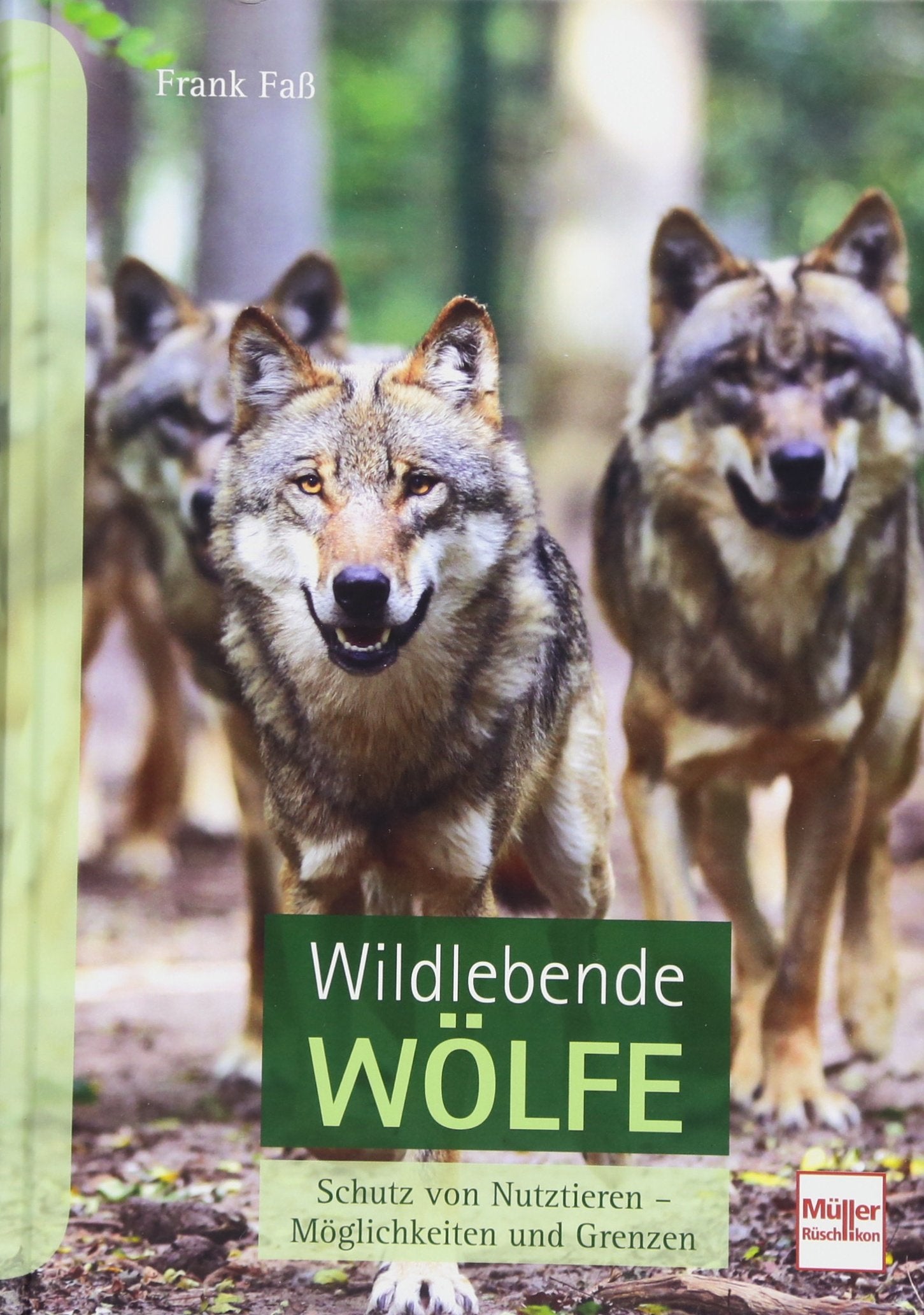 Wildlebende Wölfe Leisure & Fun