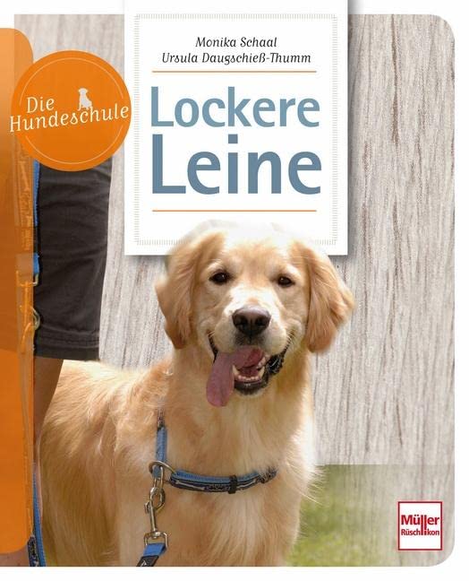 Lockere Leine Pets