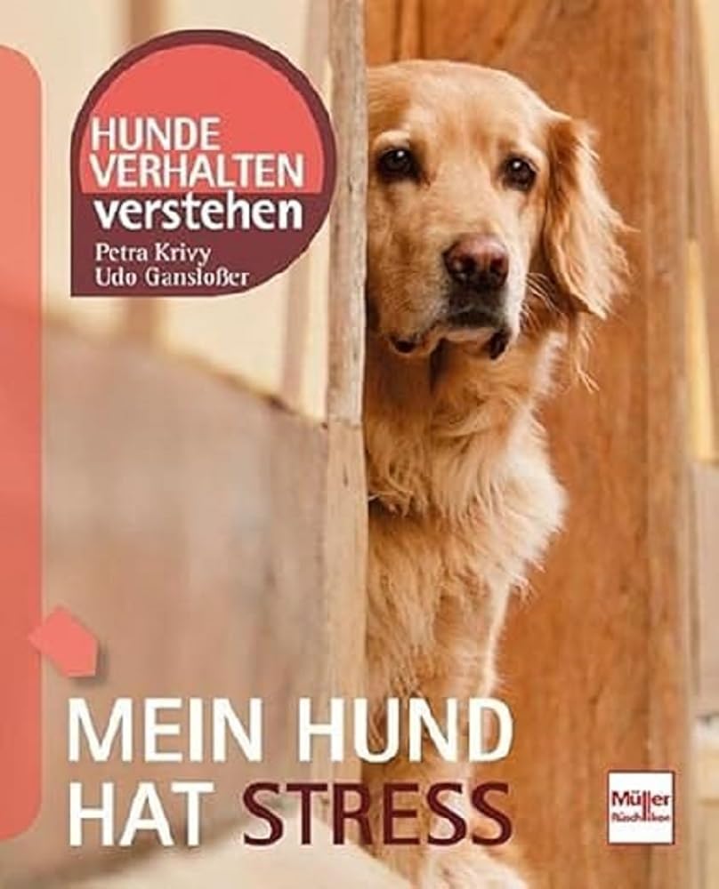 Mein Hund hat Stress Pets