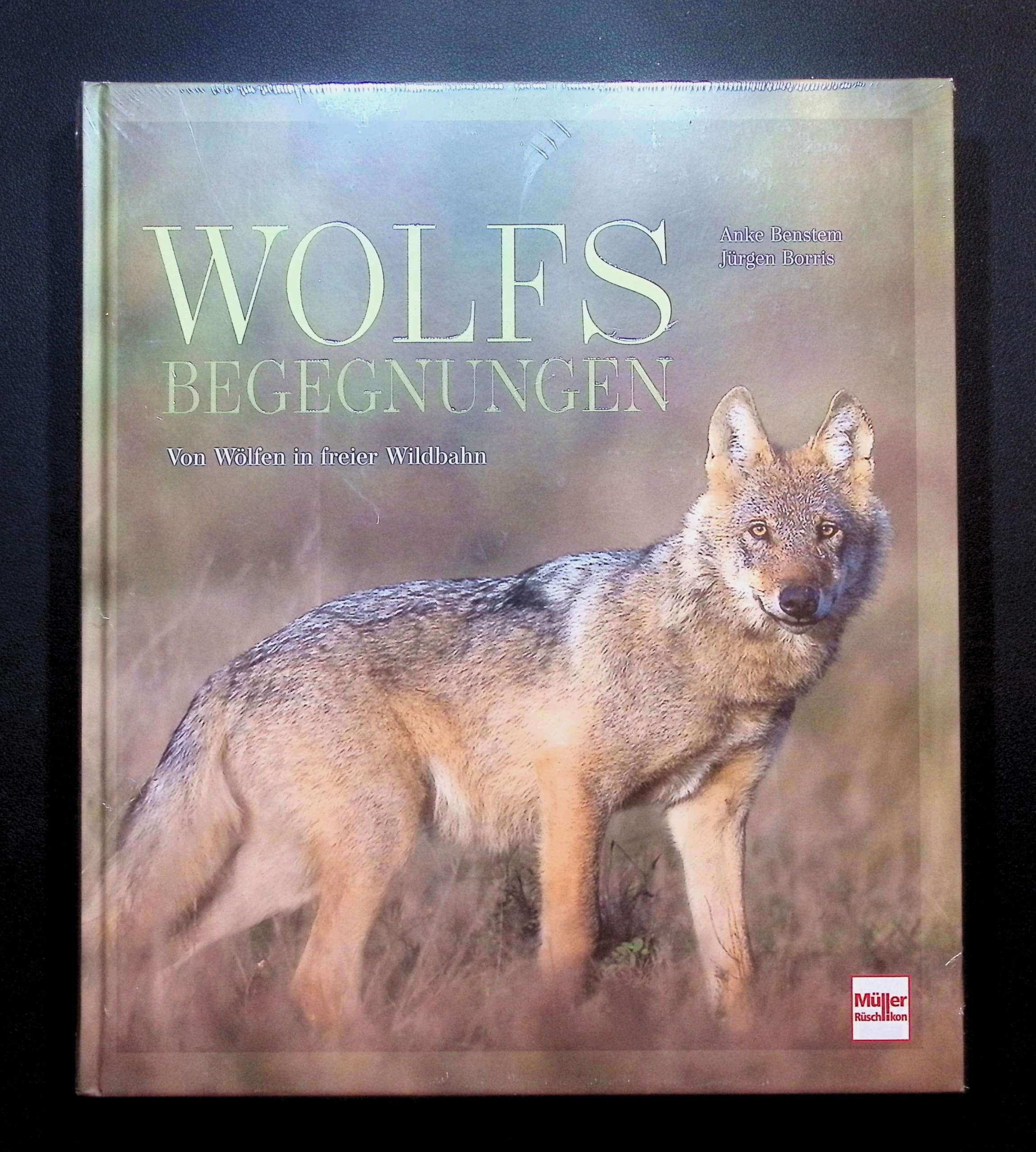 Wolfsbegegnungen Leisure, Home & Garden