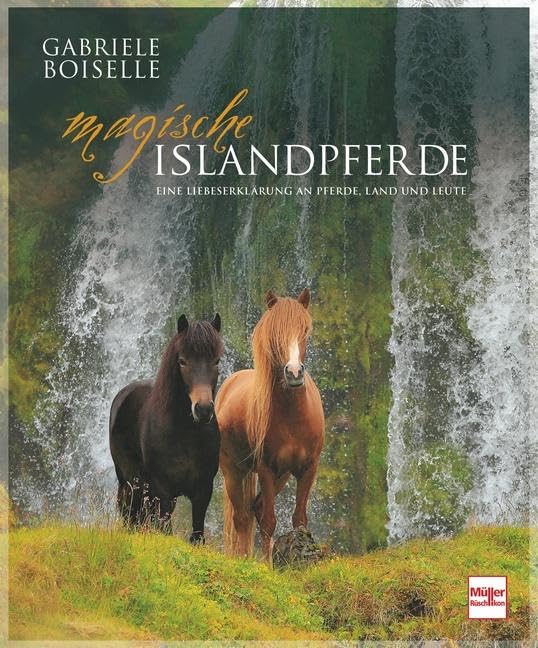 Magische Islandpferde Pets