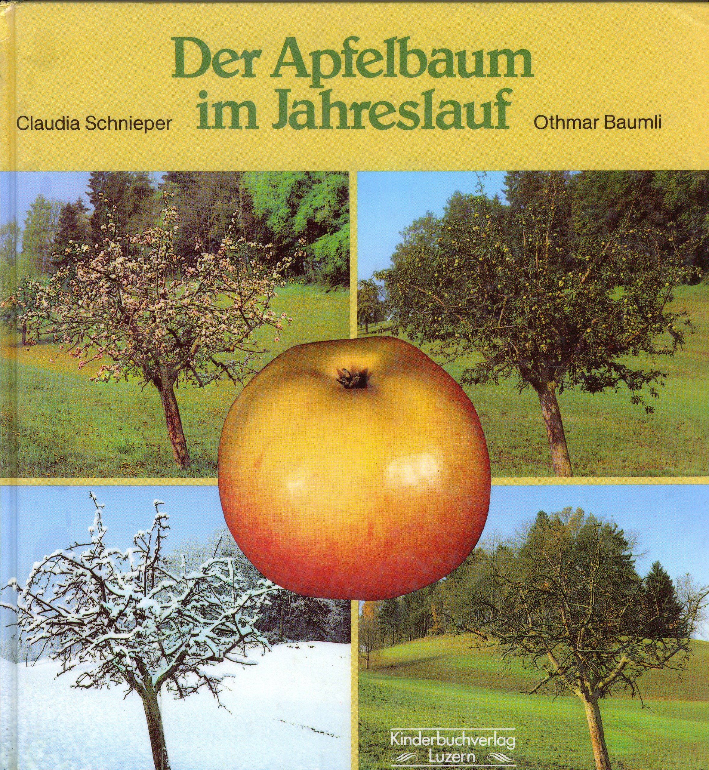 Product Image: Der Apfelbaum im Jahreslauf