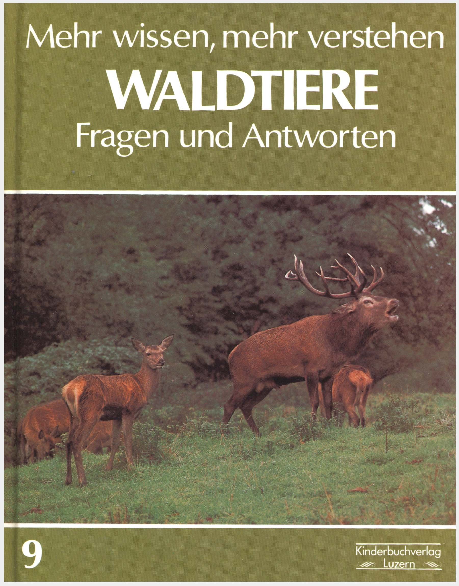 Mehr wissen, mehr verstehen VIIII. Waldtiere. Fragen und Antworten Books