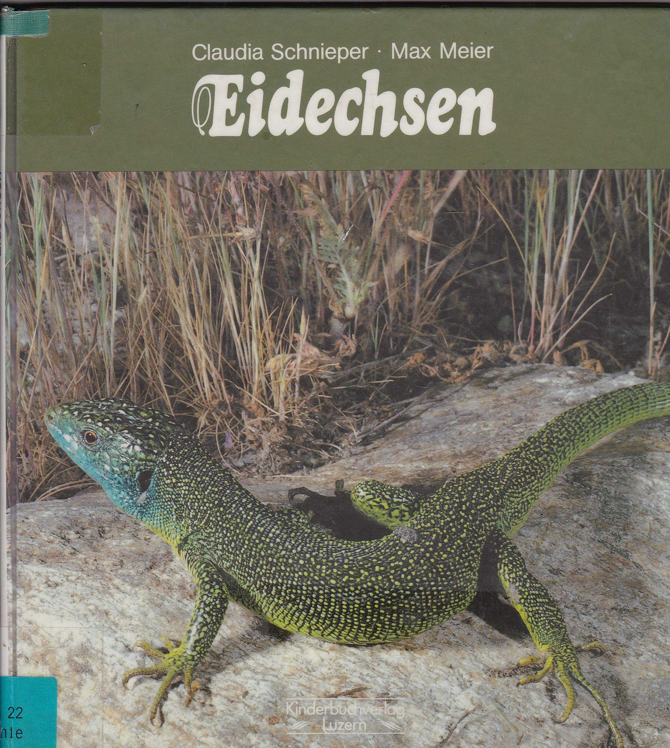 Eidechsen Books