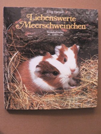 Liebenswerte Meerschweinchen Pets